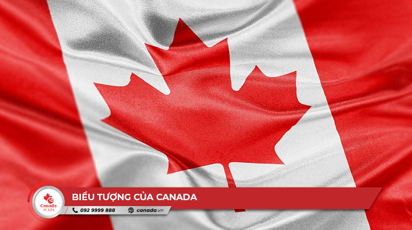 Những biểu tượng của Canada là những thứ rất đặc biệt và linh thiêng, đại diện cho lịch sử và văn hóa của đất nước này. Hình ảnh liên quan sẽ giúp bạn hiểu rõ hơn về các biểu tượng như Maple Leaf, Beaver, Hoàng đế penguin, totem và nhiều hơn nữa.