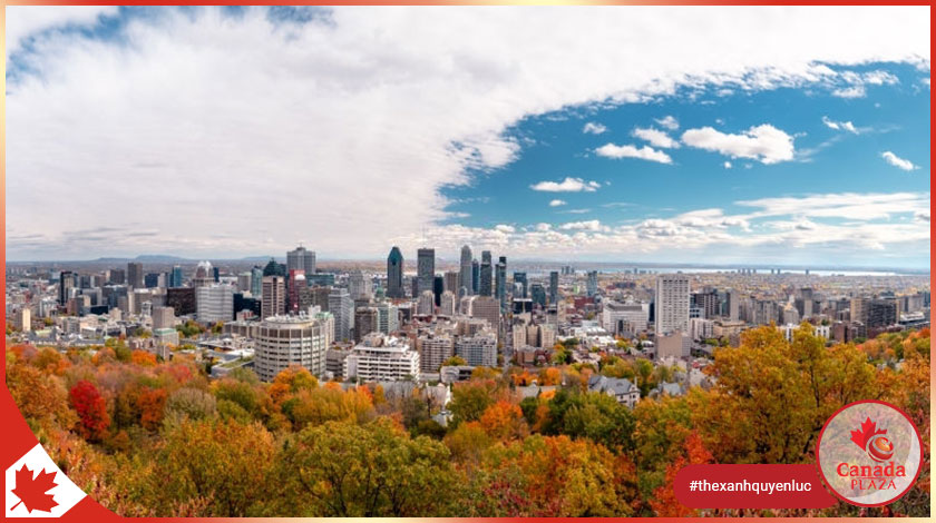 Những nơi đáng sống ở Montreal (phần 2)