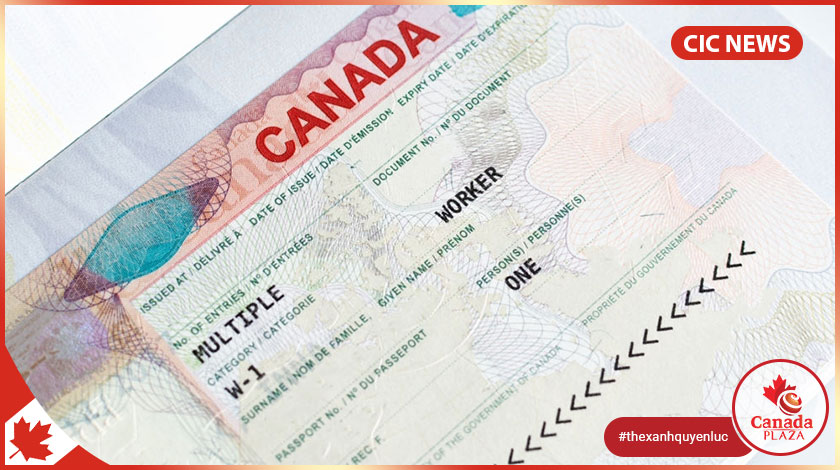 TOP 3 cách để nhập cư Canada từ Hoa Kỳ