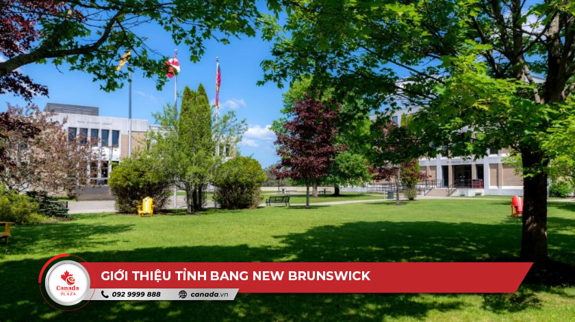 Giới thiệu tỉnh bang New Brunswick 2