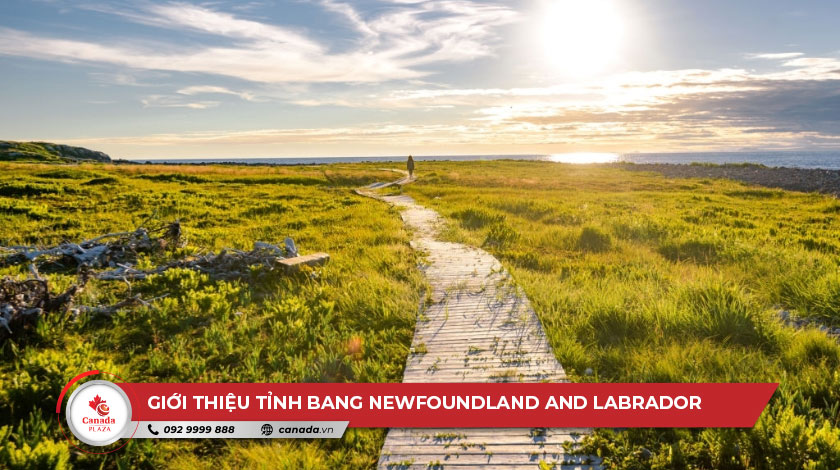 Giới thiệu tỉnh bang Newfoundland and Labrador 2