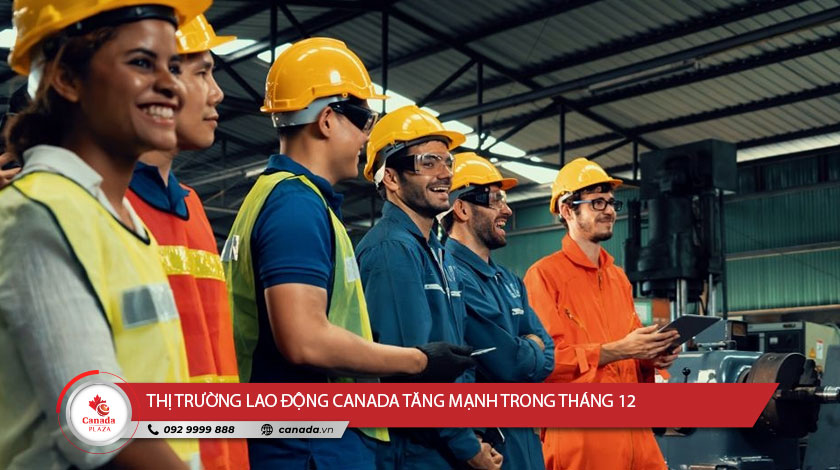 Thị trường lao động Canada tăng mạnh trong tháng 12