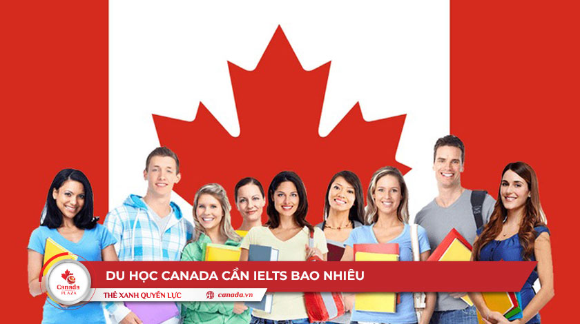Du học Canada cần IELTS bao nhiêu? Trường hợp nào không cần?
